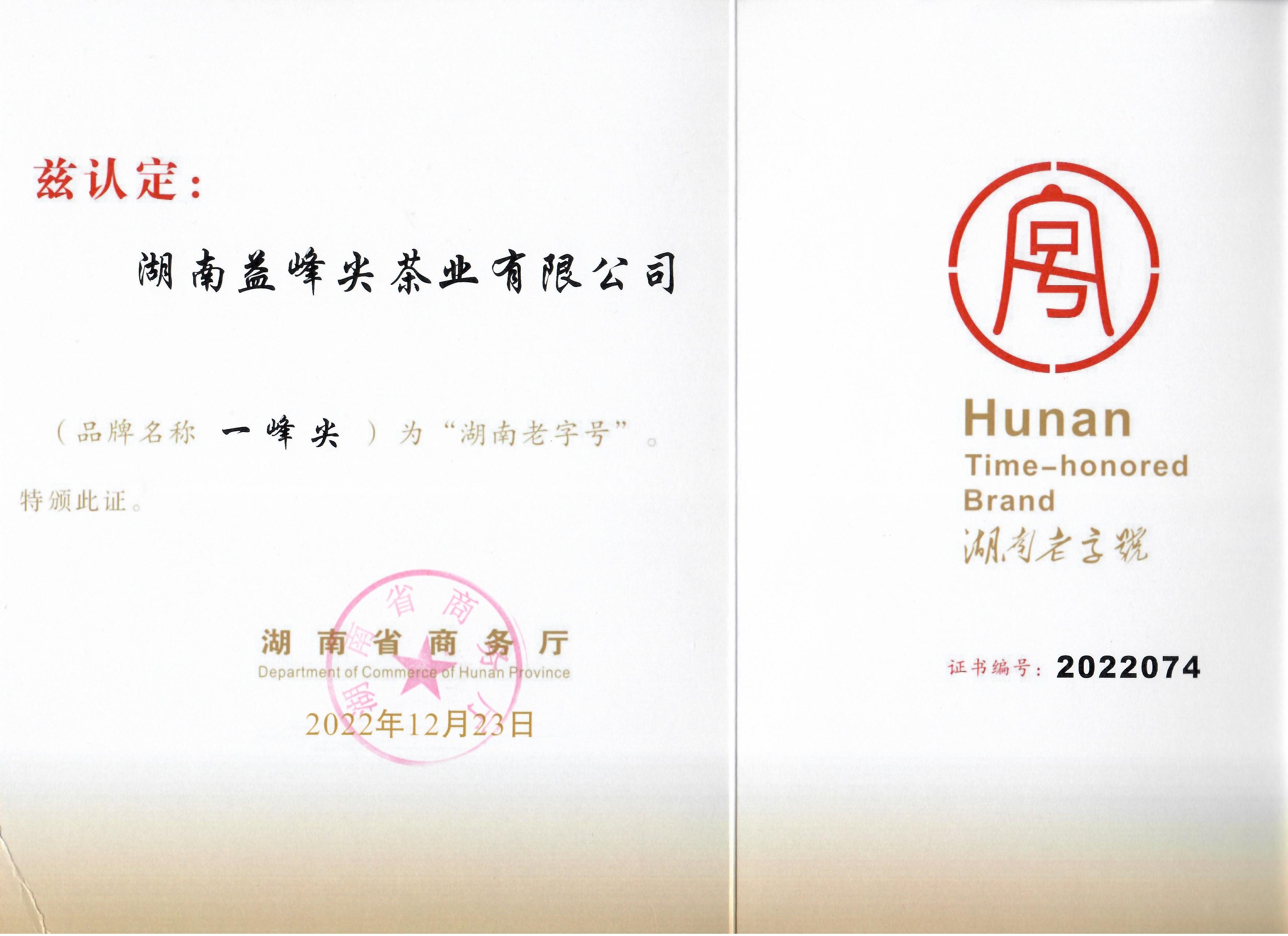 2008优秀品牌